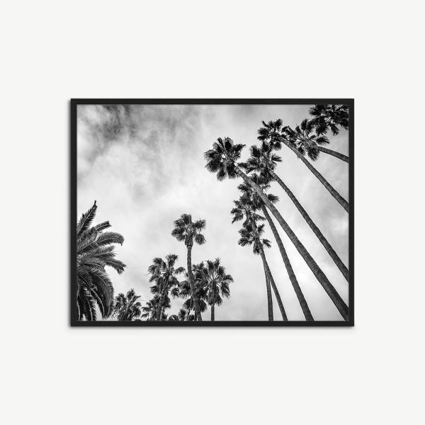 Palm Trees Wall Art, Framed